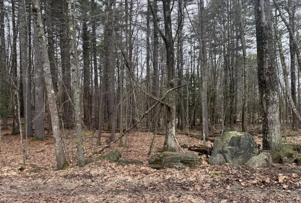 $60,000 | 0 Sedgley Road, Limerick, ME 04048