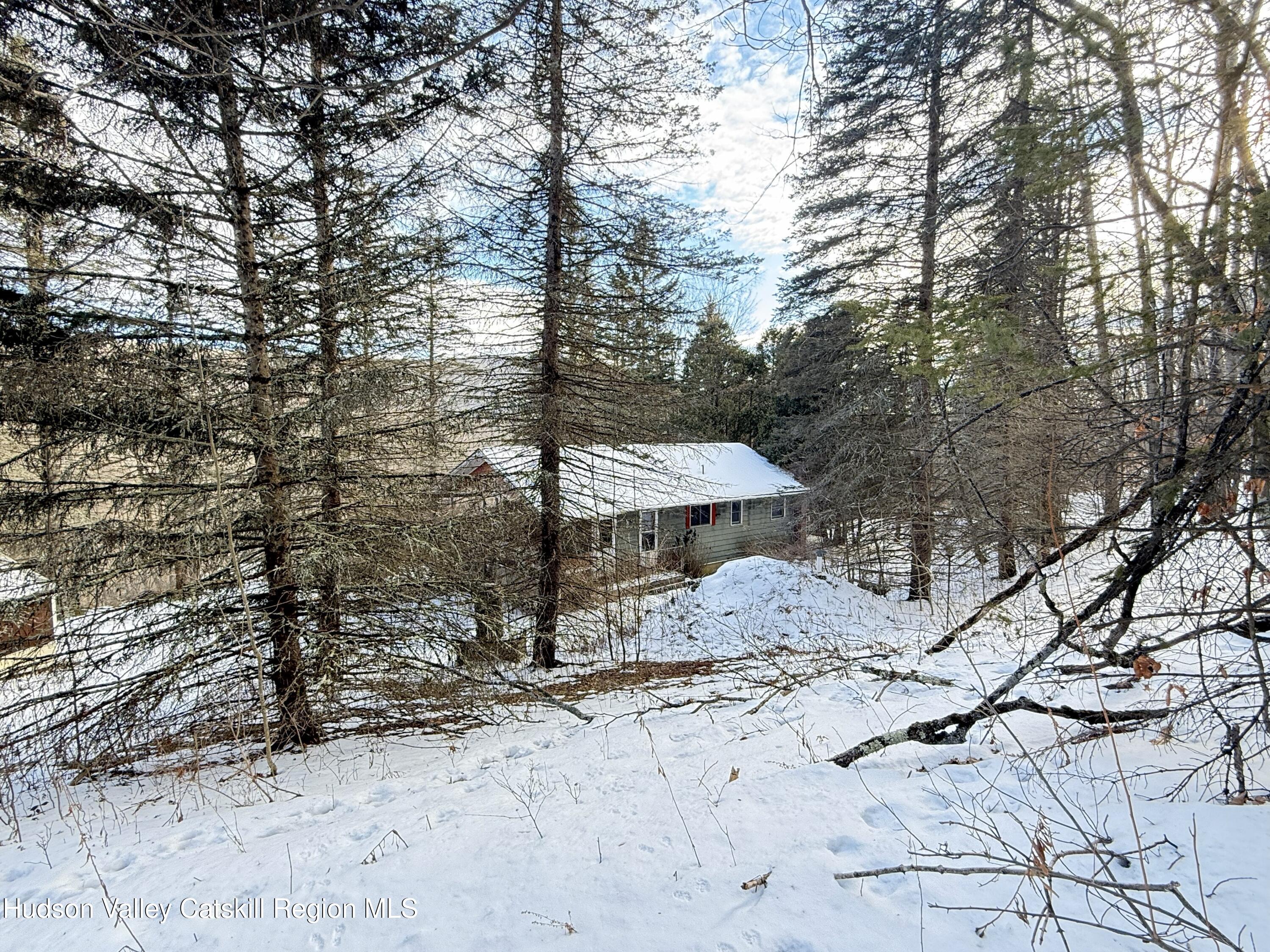 2165 Red Kill Road Roxbury, NY 12430 - Photo 18 of 44 20IMG_2491