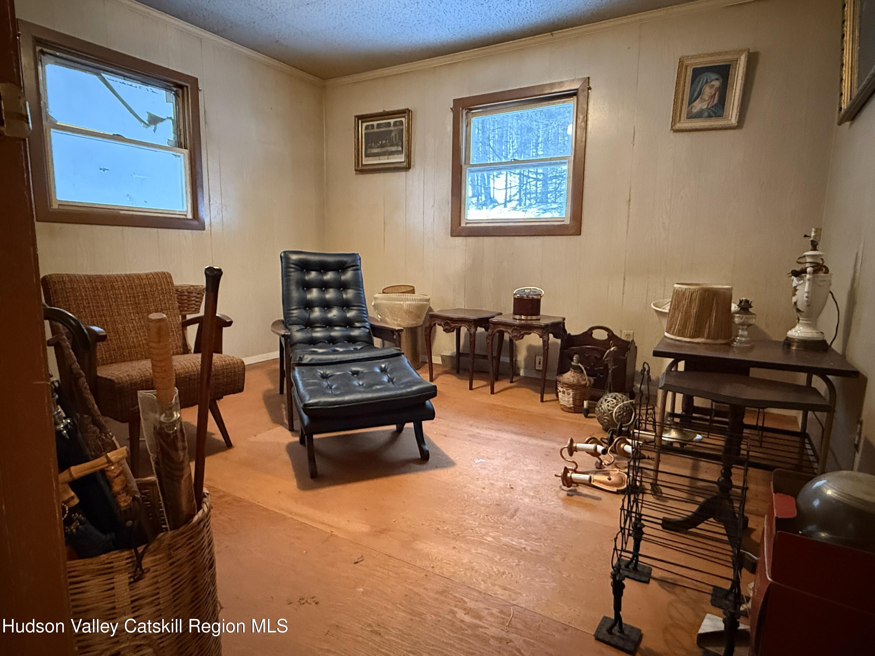 2165 Red Kill Road Roxbury, NY 12430 - Photo 30 of 44 34IMG_2522