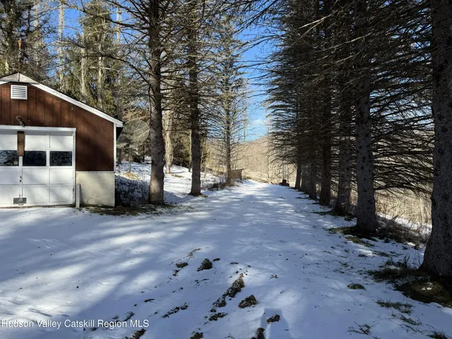 a view of a dry yard with trees