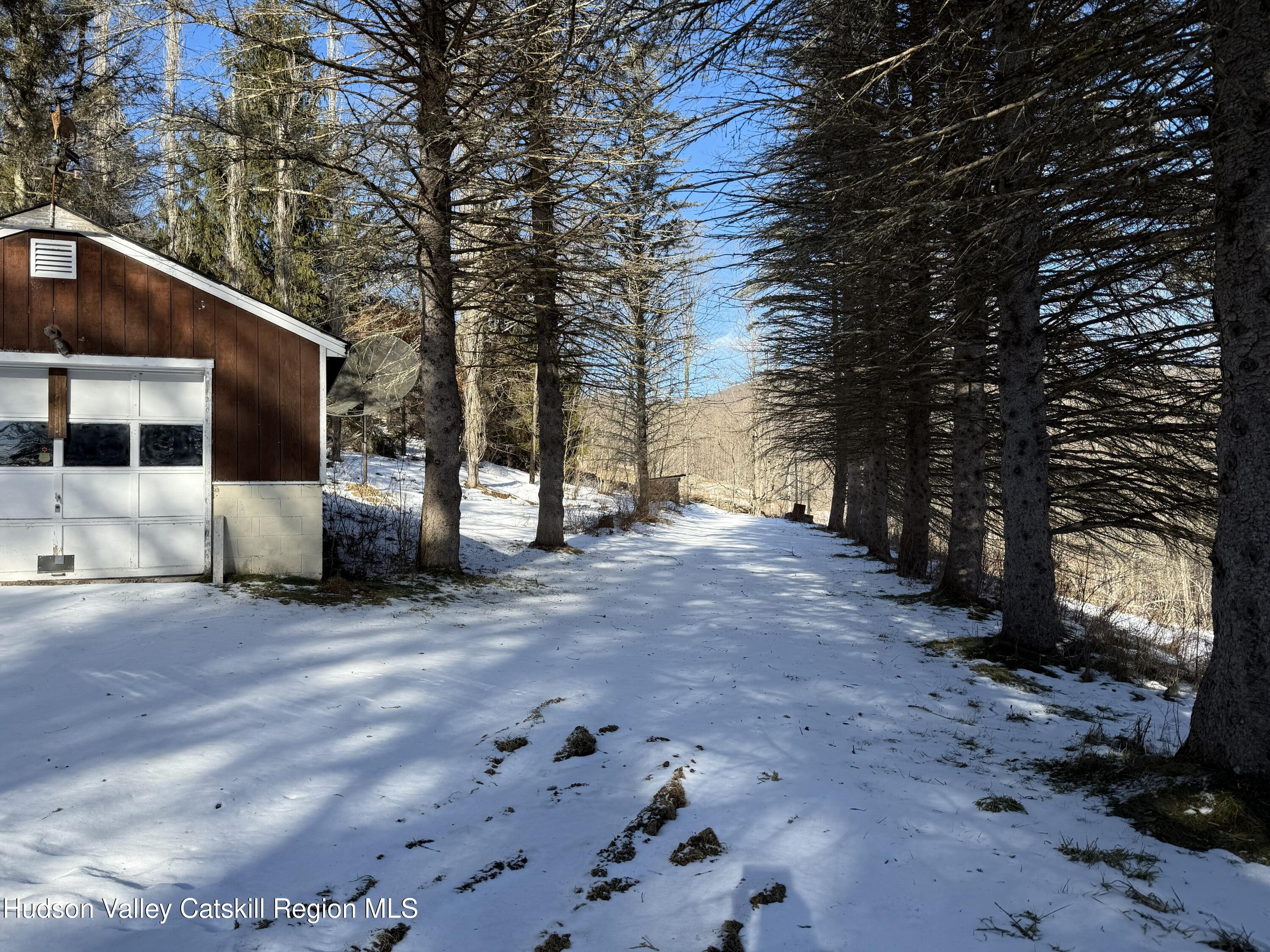 2165 Red Kill Road Roxbury, NY 12430 - Photo 38 of 44 43IMG_2466