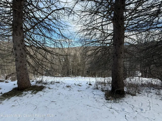 a view of outdoor space with yard