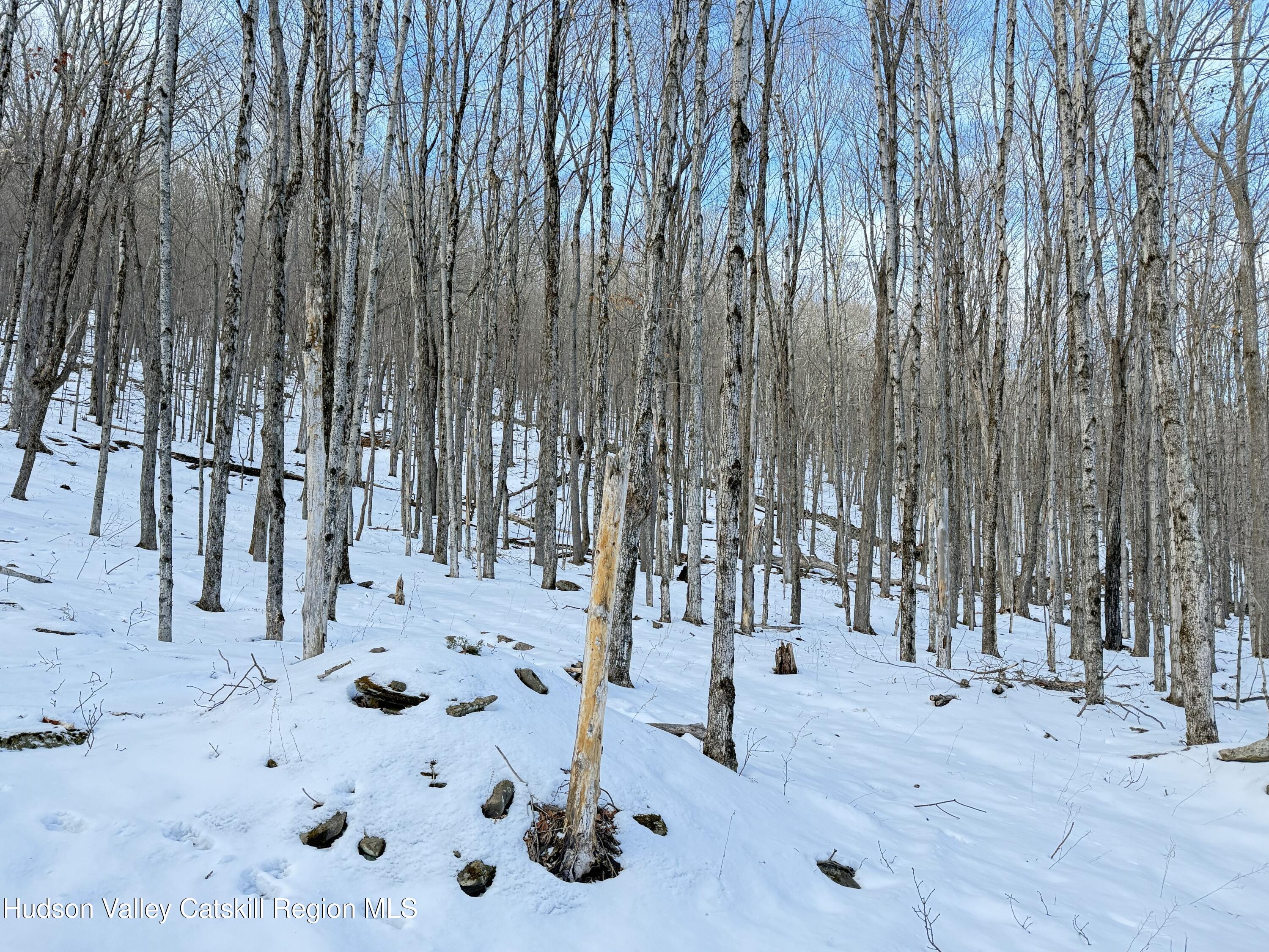 2165 Red Kill Road Roxbury, NY 12430 - Photo 41 of 44 46IMG_2497