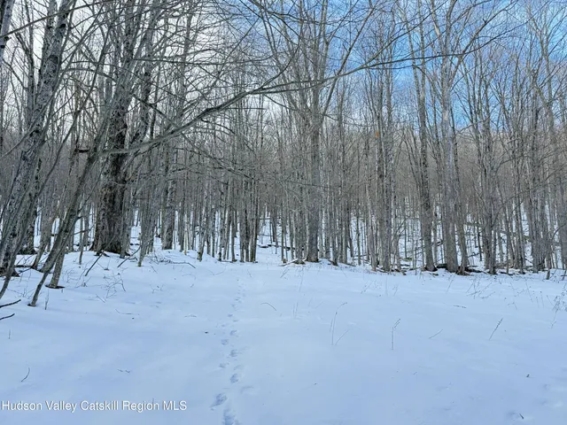 a black and white photo of a field