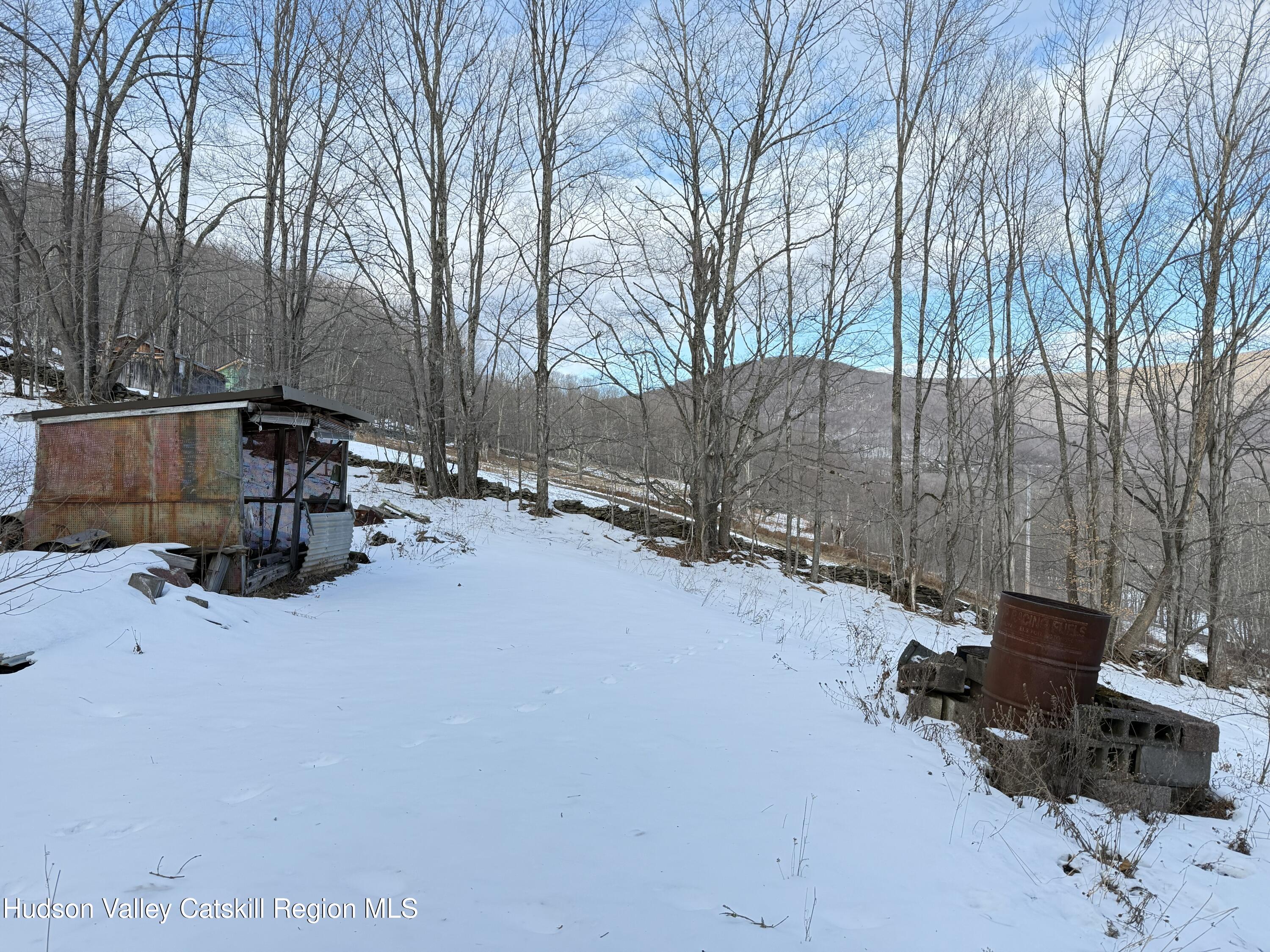 2165 Red Kill Road Roxbury, NY 12430 - Photo 43 of 44 48IMG_2500