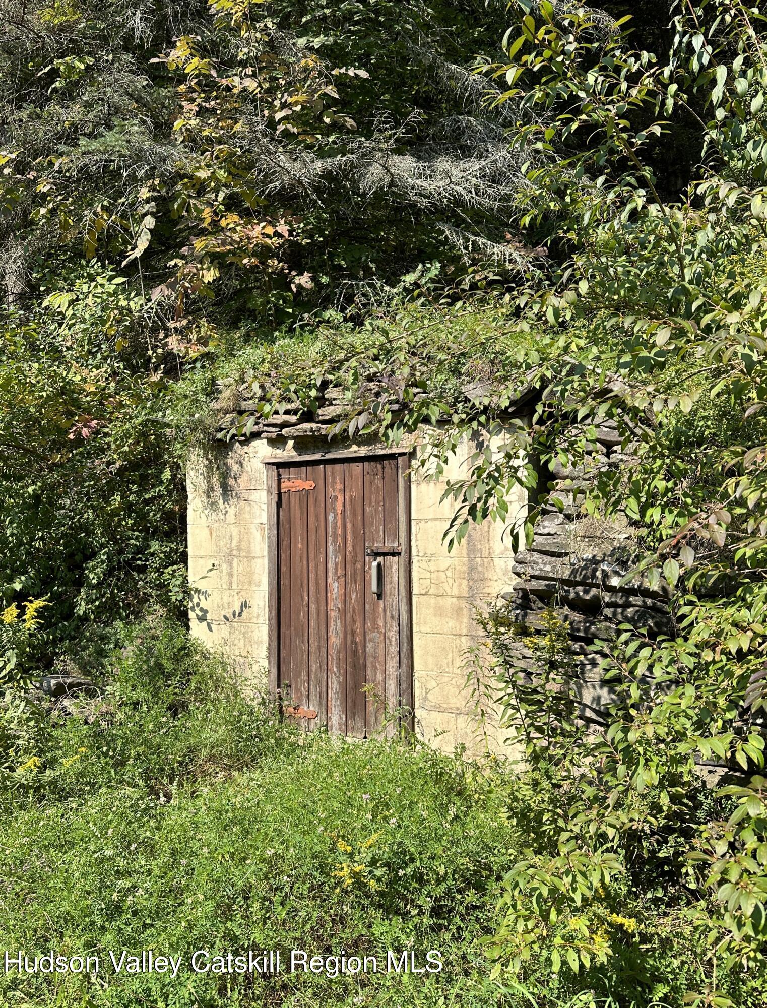 2165 Red Kill Road Roxbury, NY 12430 - Photo 5 of 44 6Root cellar summer