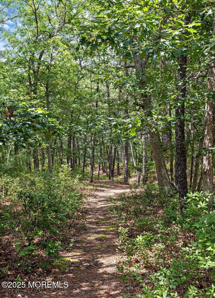 102 Ash Road Manahawkin, NJ 08050 - Photo 49 of 51 59