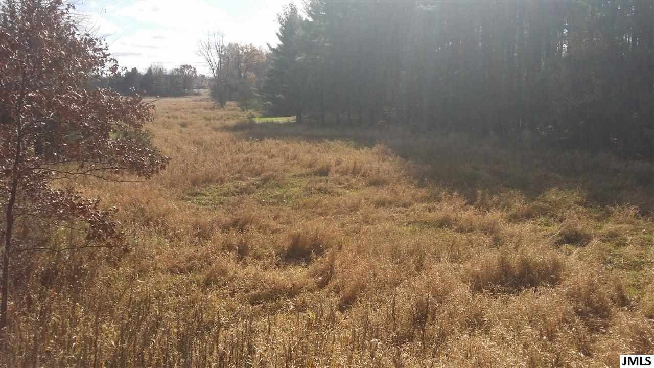 12621 Waterloo-Munith Road Munith, MI 49259 - Photo 17 of 21 Photo 17