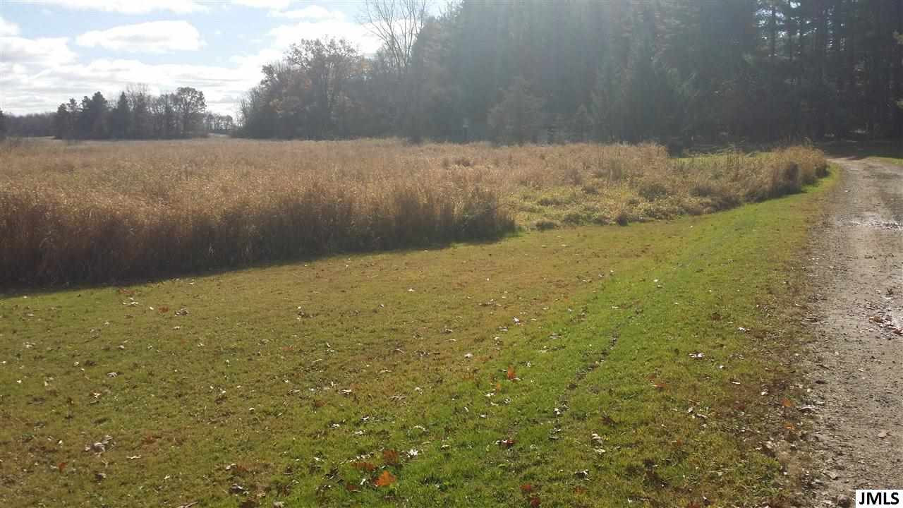 12621 Waterloo-Munith Road Munith, MI 49259 - Photo 19 of 21 Photo 19