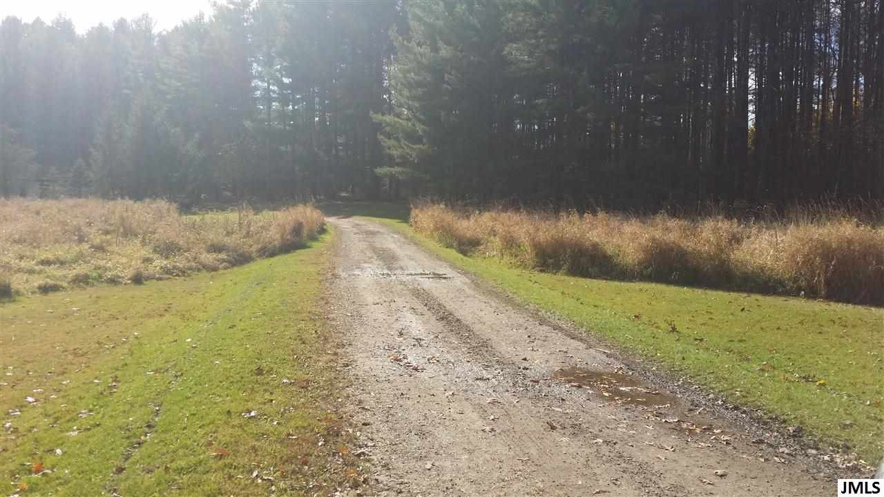 12621 Waterloo-Munith Road Munith, MI 49259 - Photo 20 of 21 Photo 20
