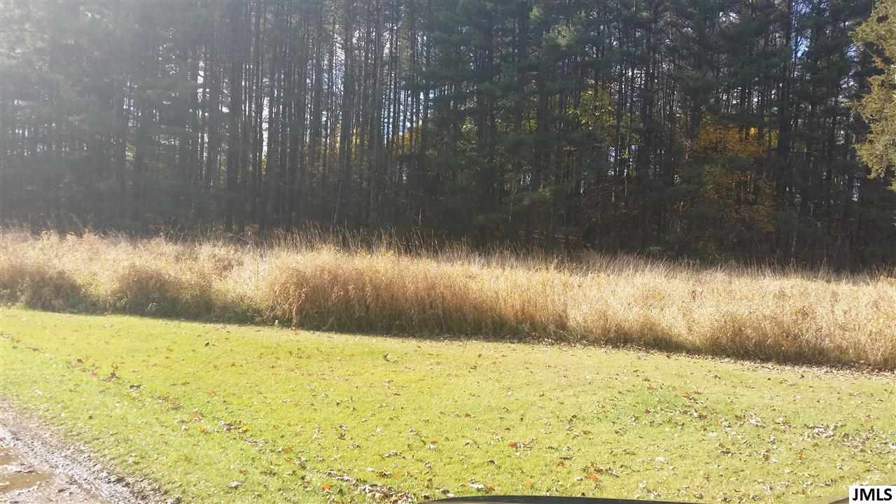 12621 Waterloo-Munith Road Munith, MI 49259 - Photo 21 of 21 Photo 21