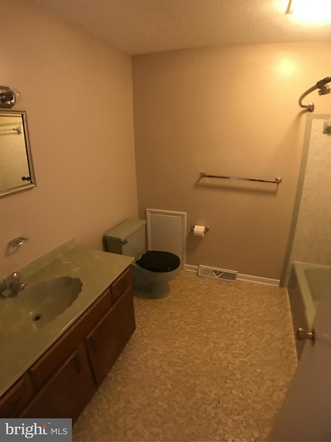 4231 Spring View Court Jefferson, MD 21755 - Photo 17 of 28 Bath