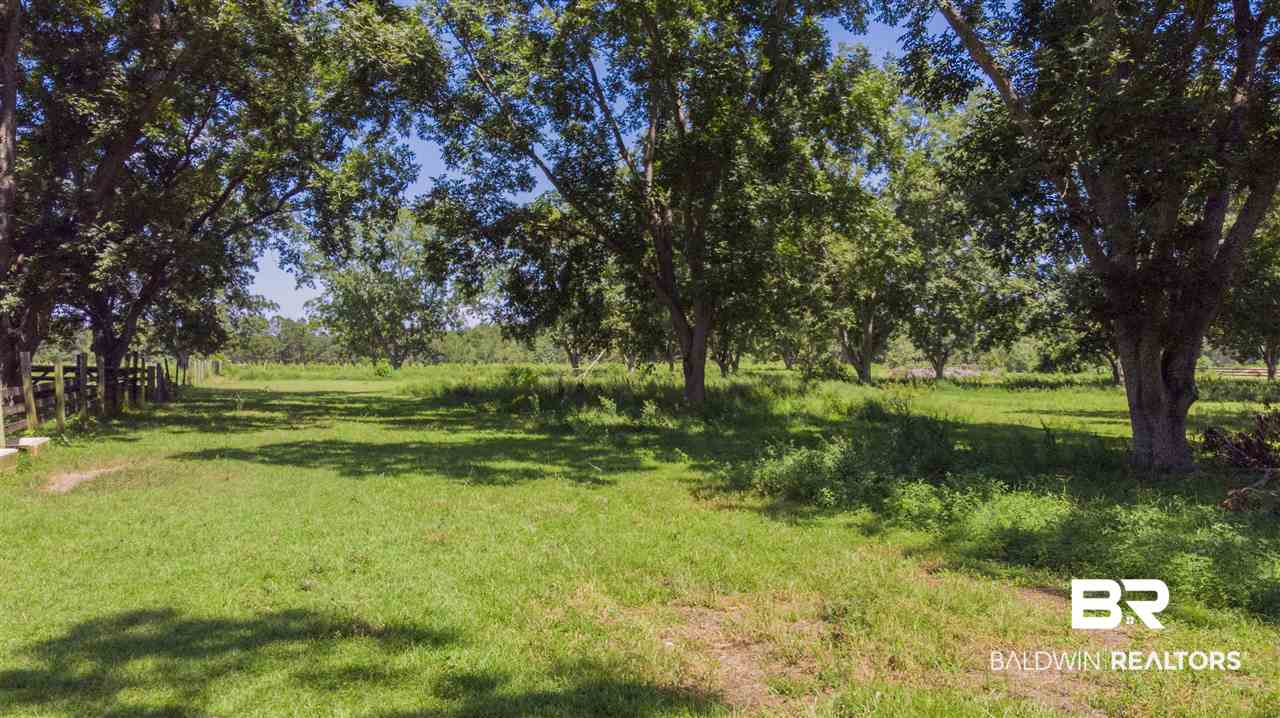 15308 County Road 83 Elberta, AL 36530 - Photo 16 of 45