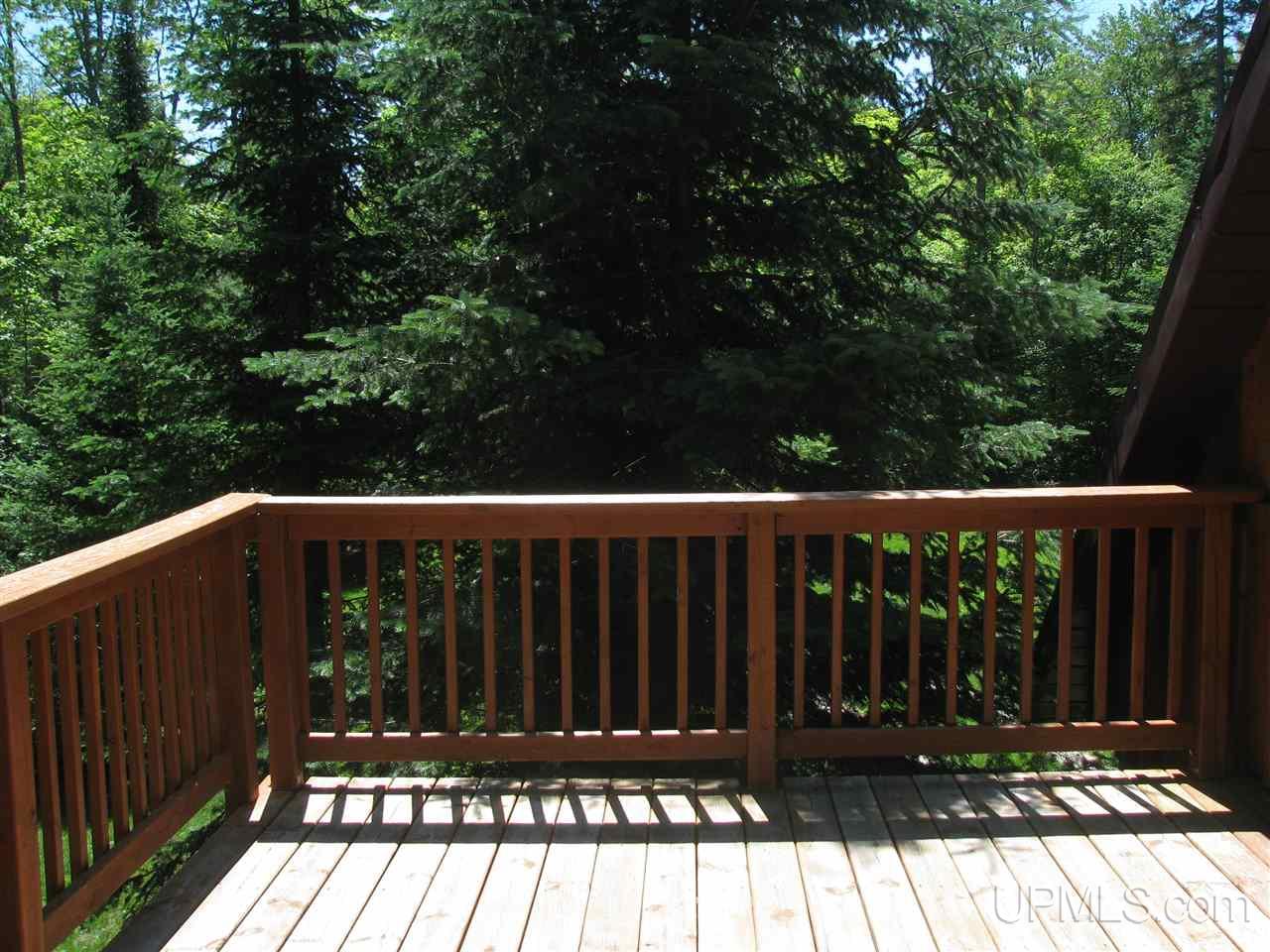 9815 North Ames Lake Road Seney, MI 49883 - Photo 5 of 23 Gallery Image 5