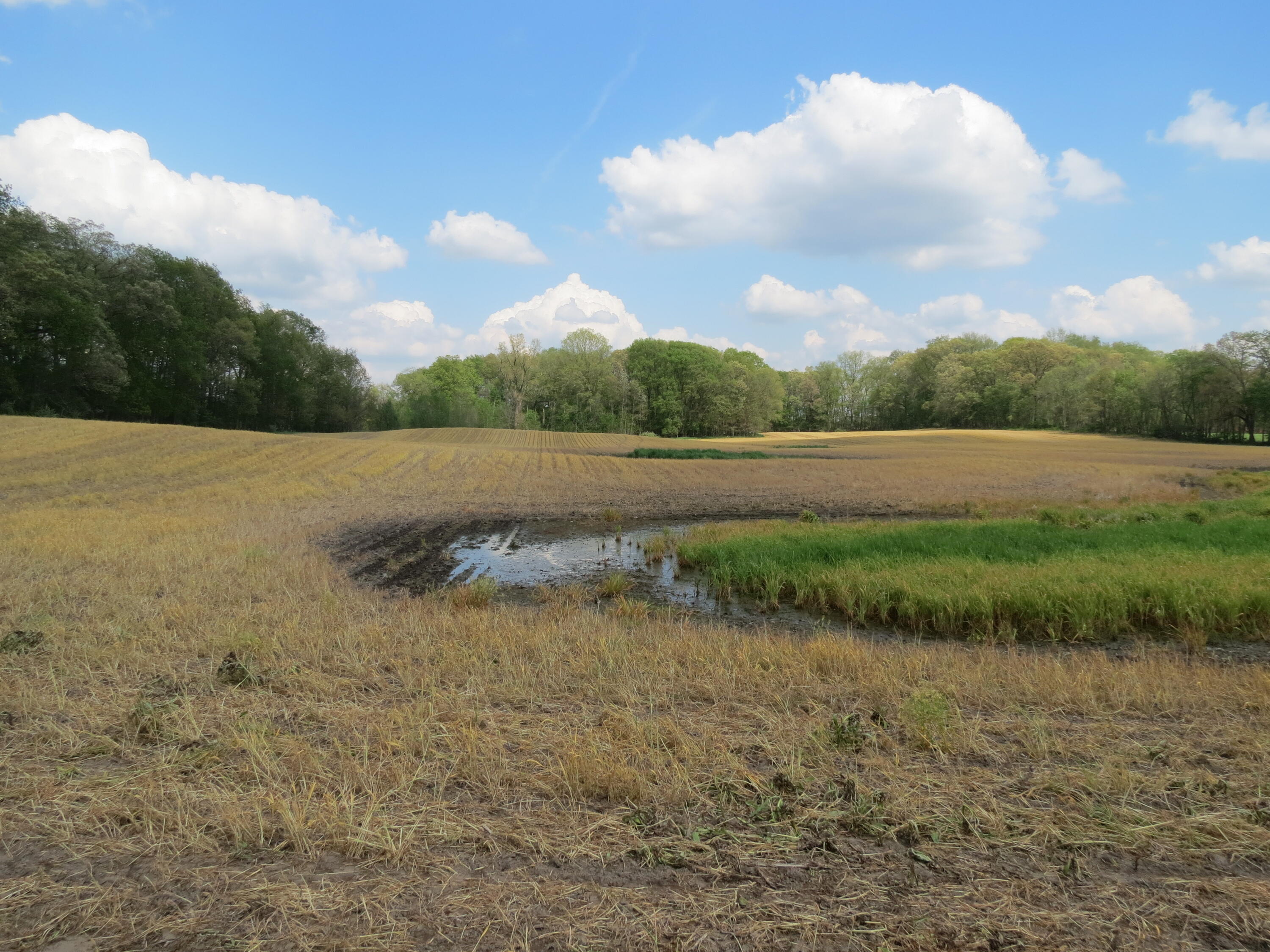 South Stony Lake Road, Unit A Jackson, MI 49201 - Photo 3 of 39 IMG_4234 - Copy