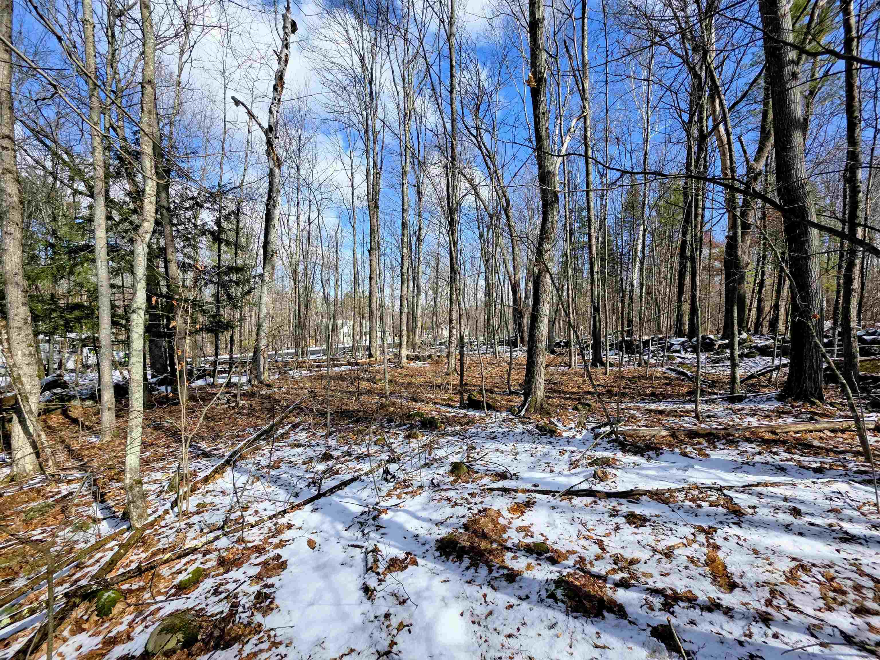 0 Gile Road Franklin, NH 03235 - Photo 11 of 27 Gallery Image 11