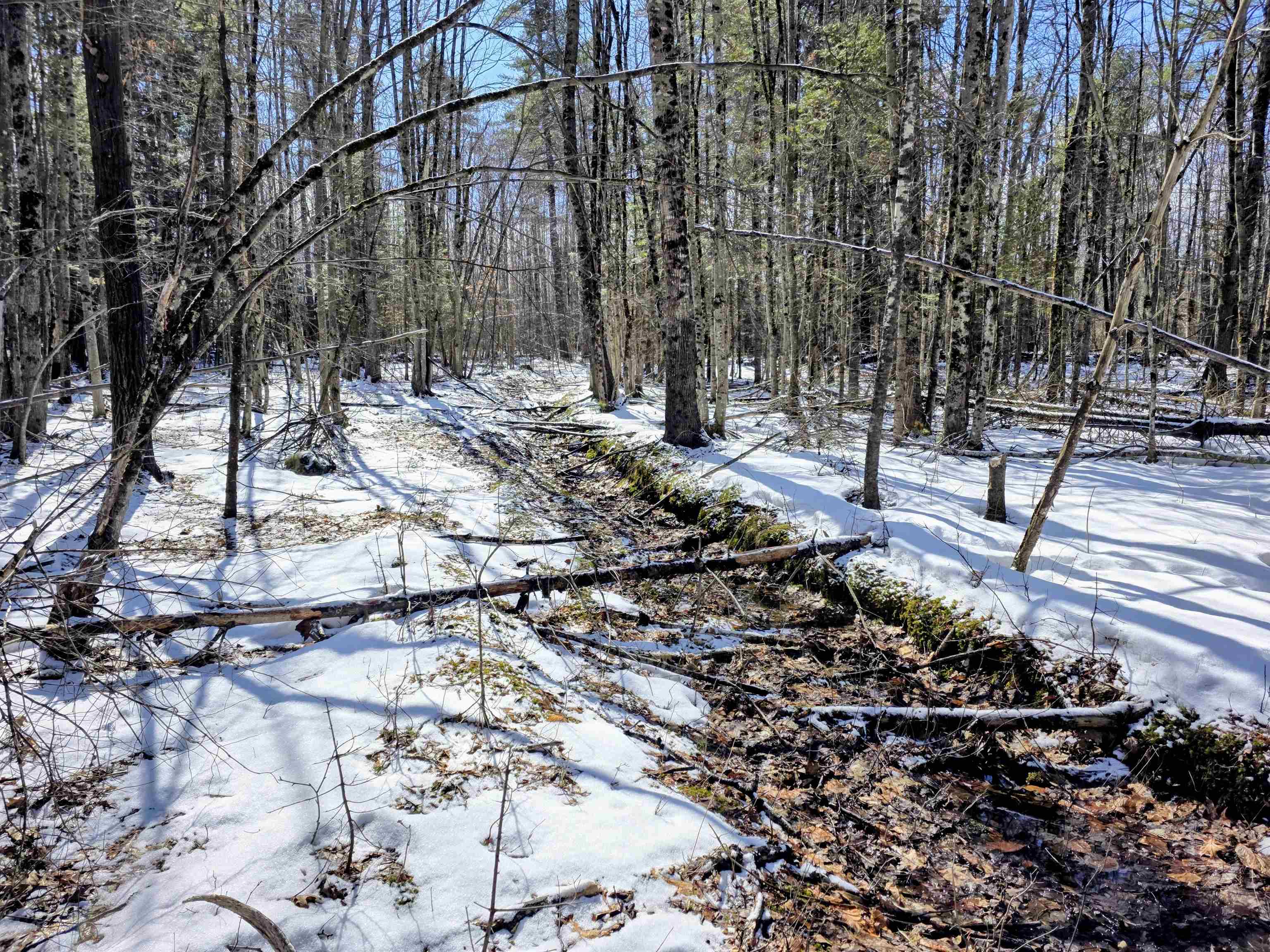 0 Gile Road Franklin, NH 03235 - Photo 22 of 27 Gallery Image 22
