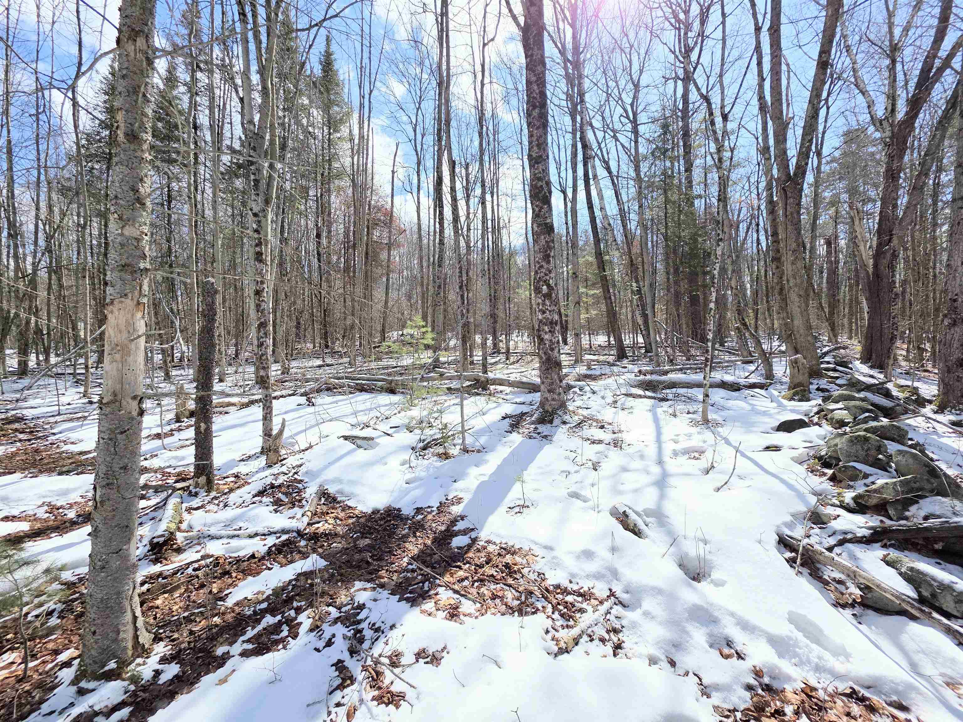 0 Gile Road Franklin, NH 03235 - Photo 23 of 27 Gallery Image 23