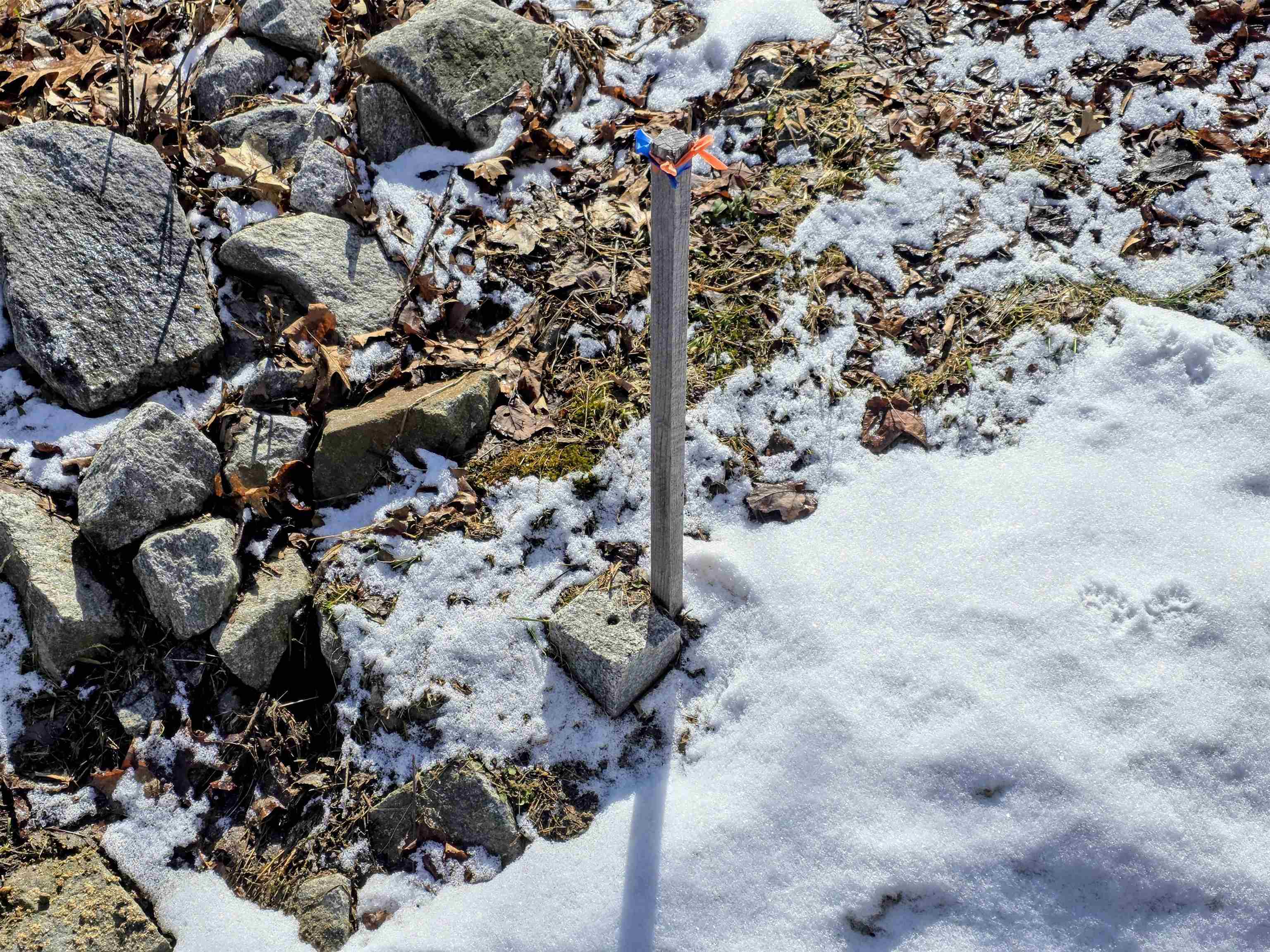 0 Gile Road Franklin, NH 03235 - Photo 24 of 27 Gallery Image 24