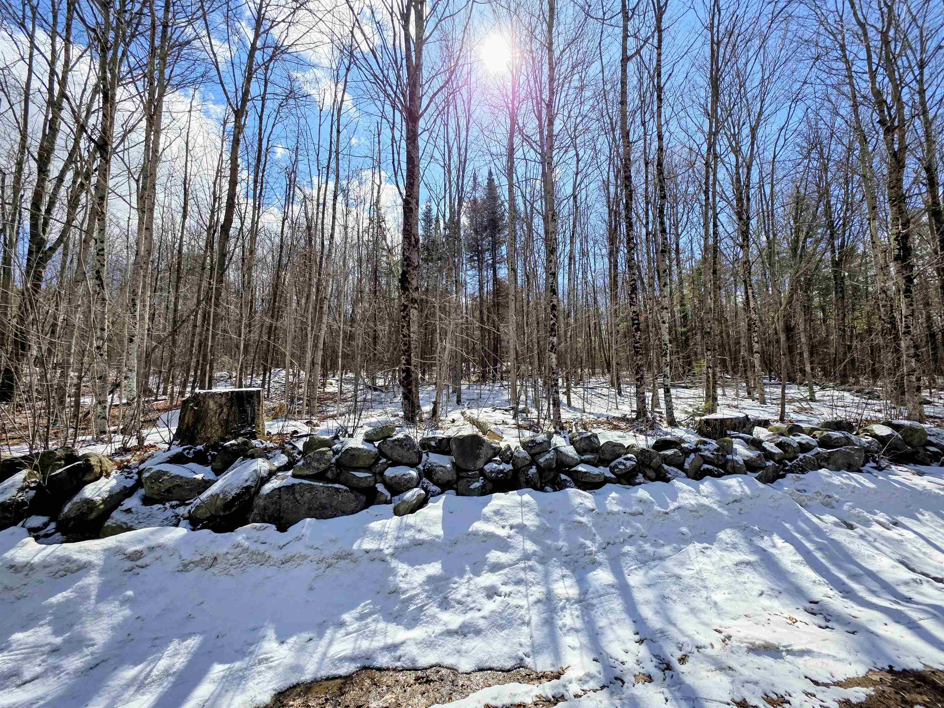 0 Gile Road Franklin, NH 03235 - Photo 4 of 27 Gallery Image 4