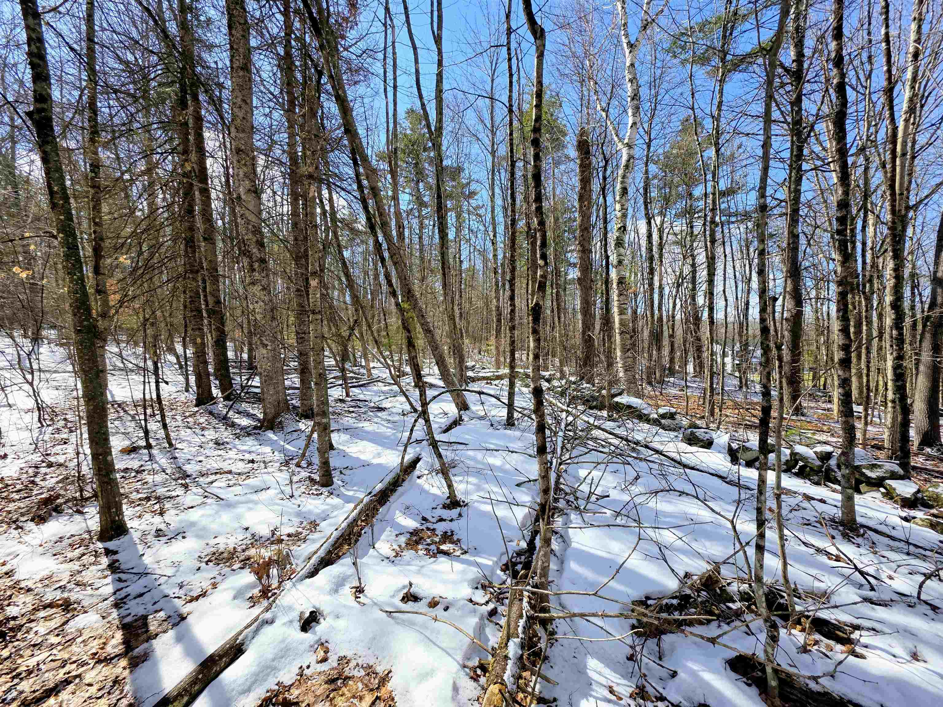 0 Gile Road Franklin, NH 03235 - Photo 7 of 27 Gallery Image 7