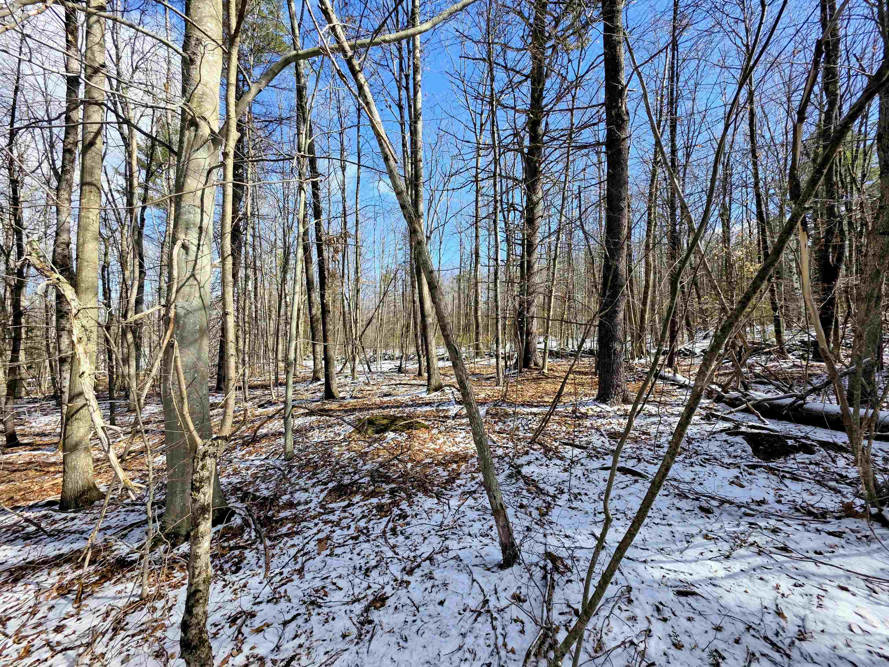0 Gile Road Franklin, NH 03235 - Photo 10 of 27 Gallery Image 10