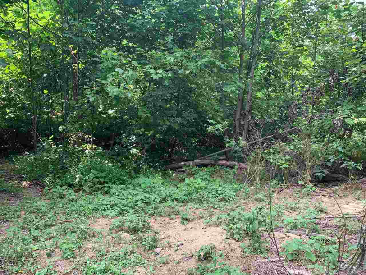 Ac Defries Road Canmer, KY 42722 - Photo 5 of 17 Gallery Image 5