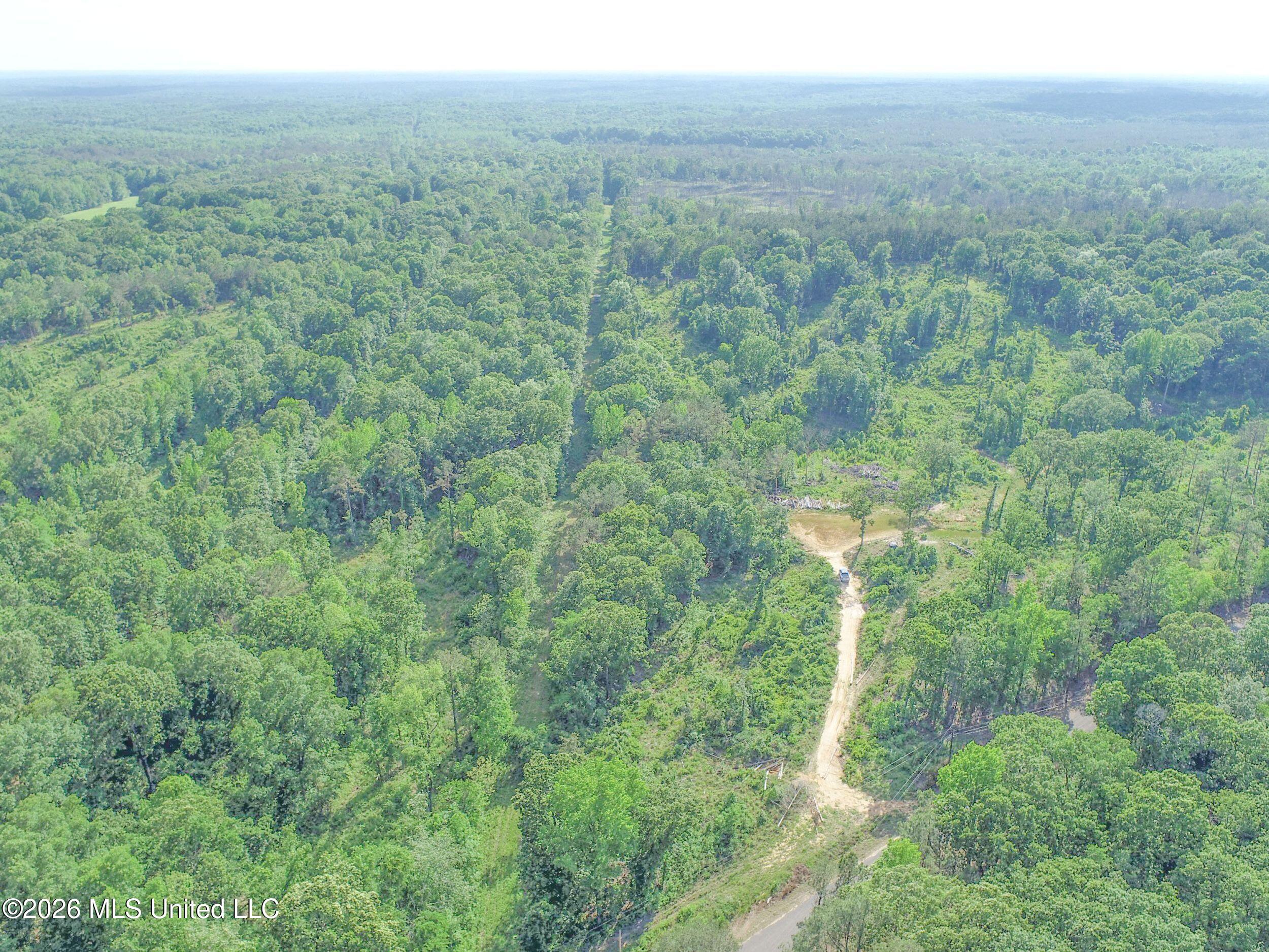 Wayne Massie Road Como, MS 38619 - Photo 45 of 184 3ctwmrd30