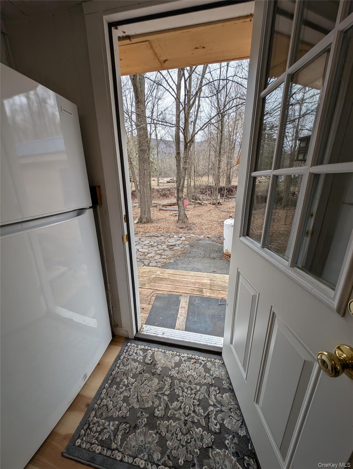 549 Hearts Content Road Cairo, NY 12473 - Photo 19 of 27 a view of front door