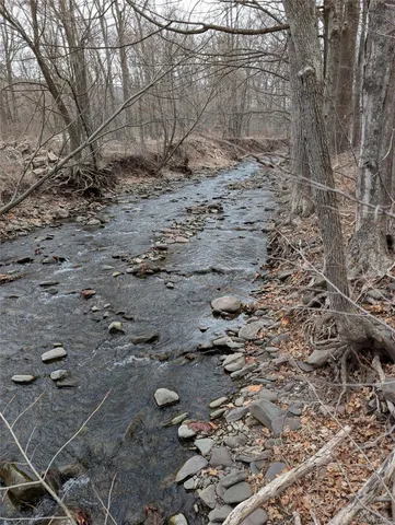 a view of a yard with large trees