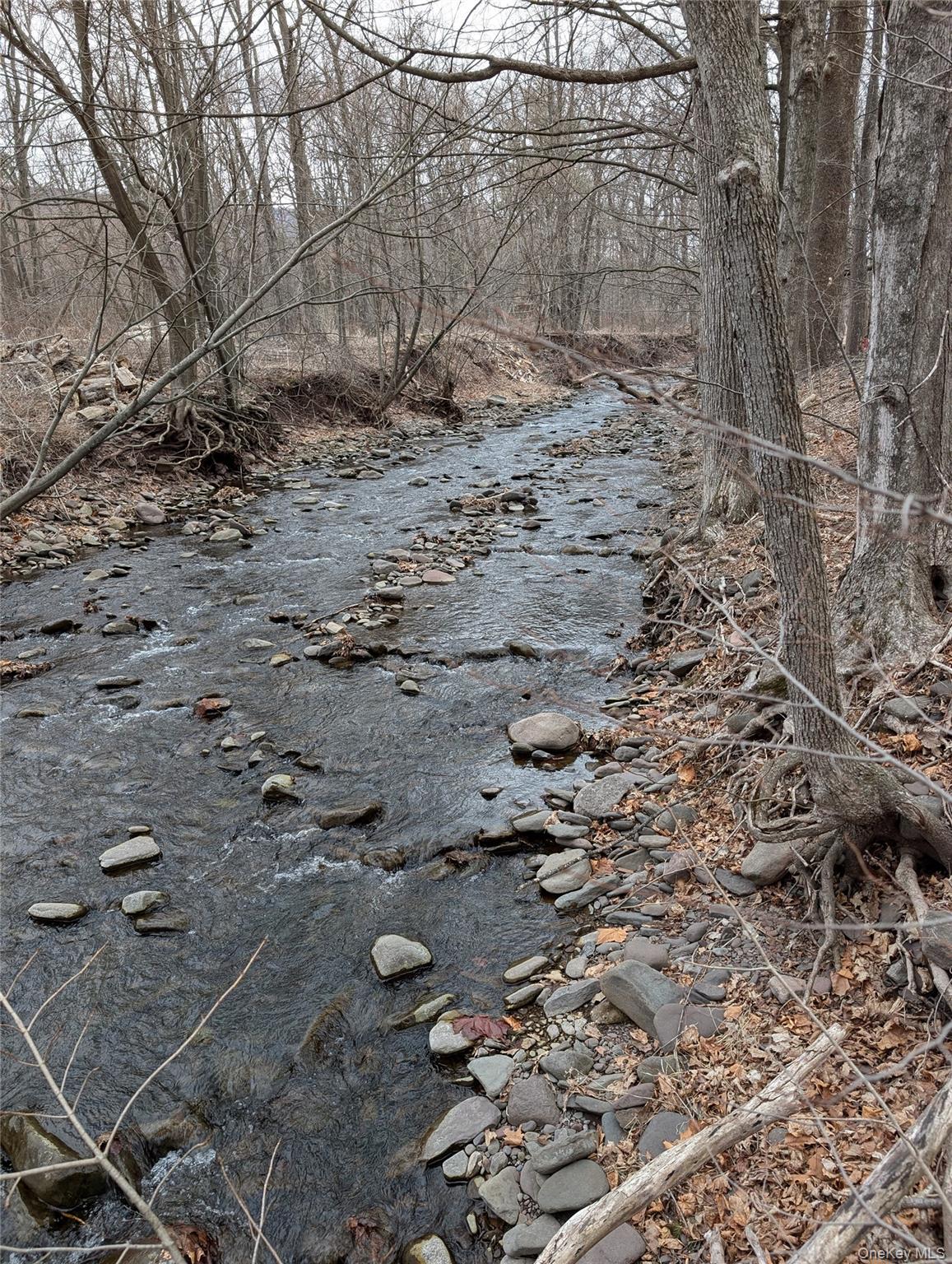 549 Hearts Content Road Cairo, NY 12473 - Photo 2 of 27 a view of a yard with large trees