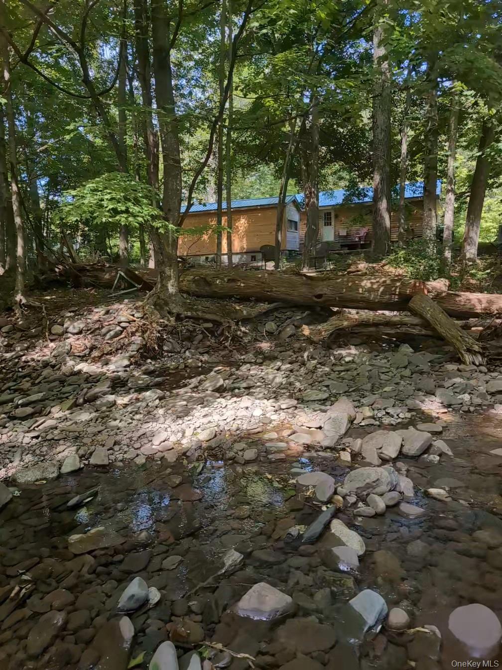 549 Hearts Content Road Cairo, NY 12473 - Photo 22 of 27 a backyard of a house with lots of green space