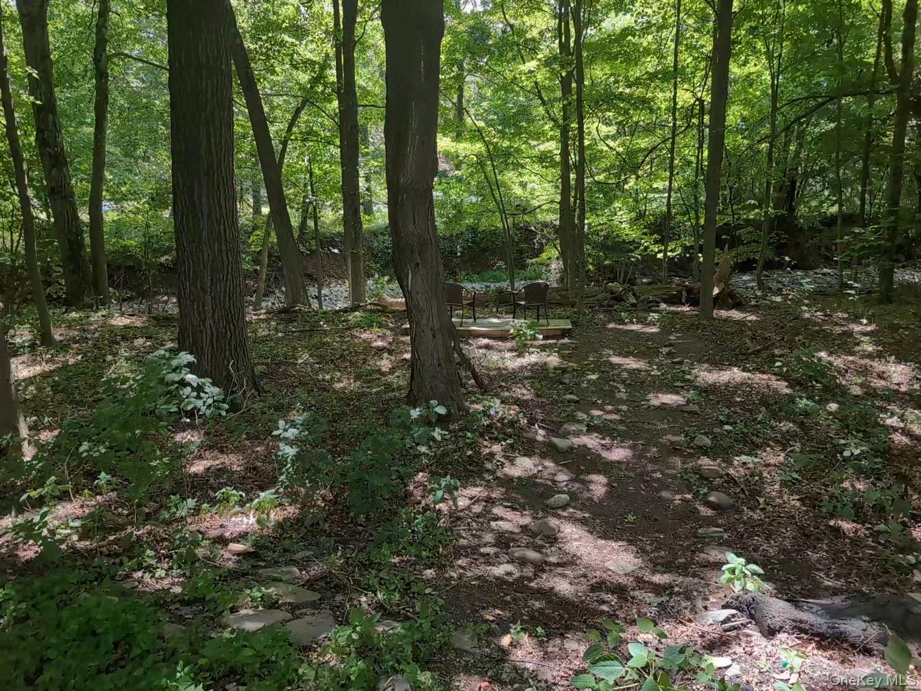 549 Hearts Content Road Cairo, NY 12473 - Photo 23 of 27 a view of forest