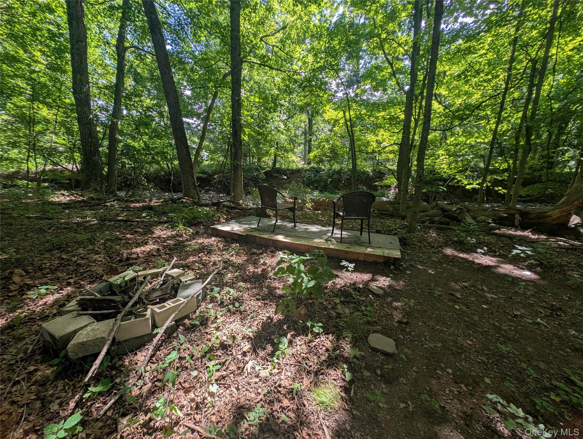 549 Hearts Content Road Cairo, NY 12473 - Photo 24 of 27 a view of outdoor space with trees all around