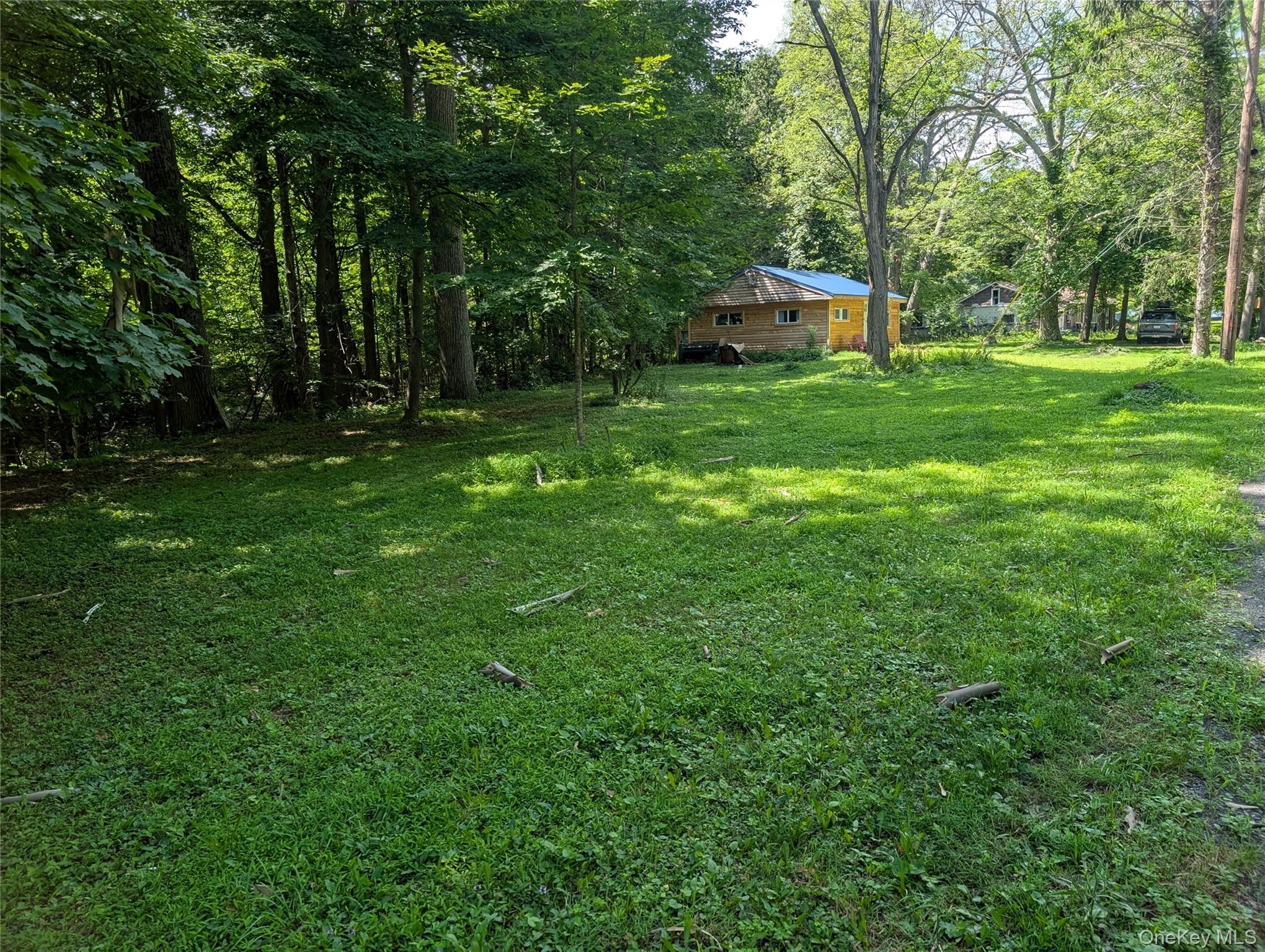 549 Hearts Content Road Cairo, NY 12473 - Photo 25 of 27 a view of a house with a big yard