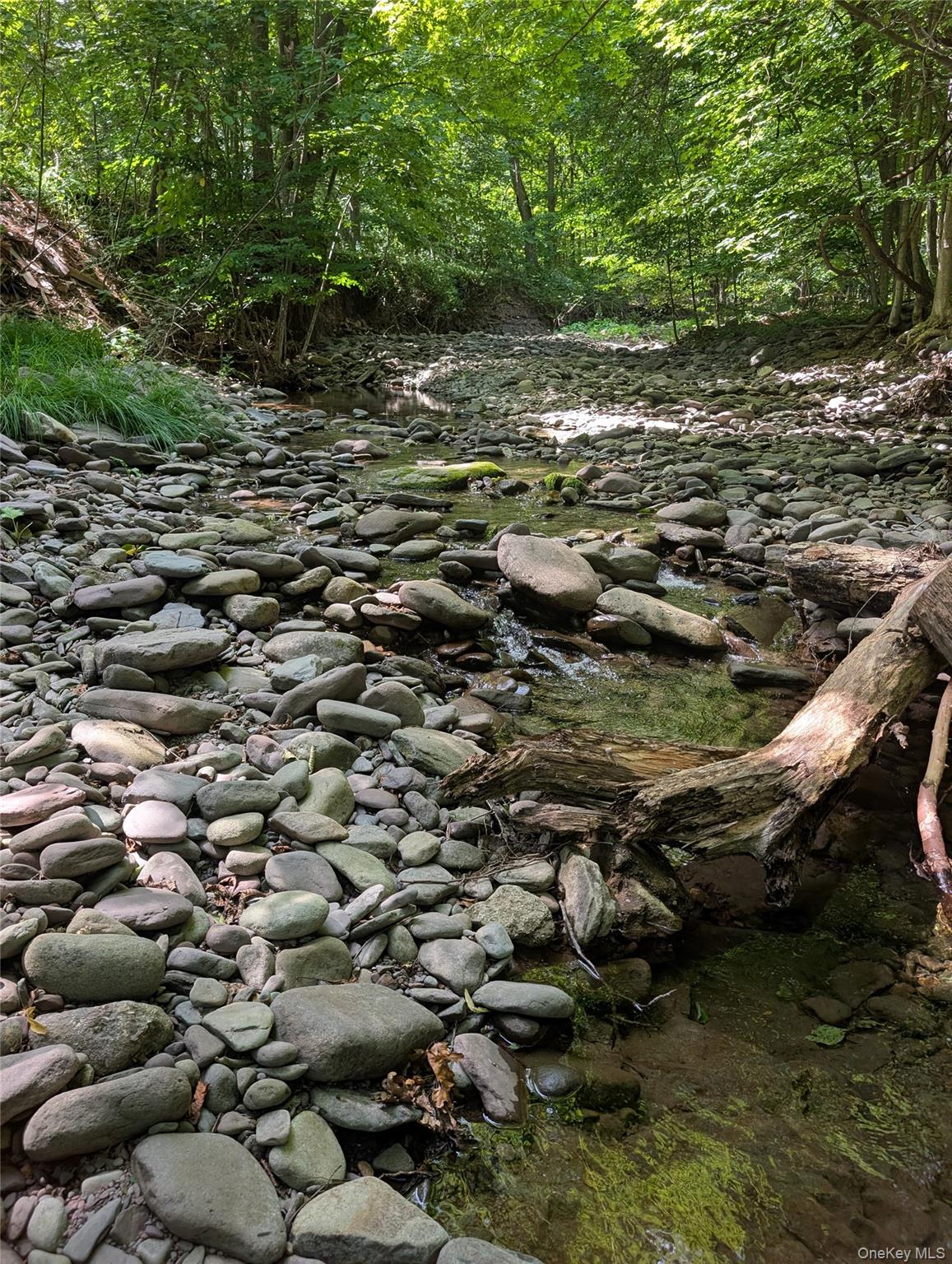 549 Hearts Content Road Cairo, NY 12473 - Photo 4 of 27