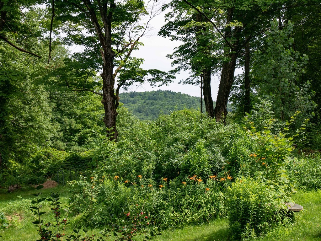 326 Hart Road Conway, MA 01341 - Photo 5 of 30 Gallery Image 5