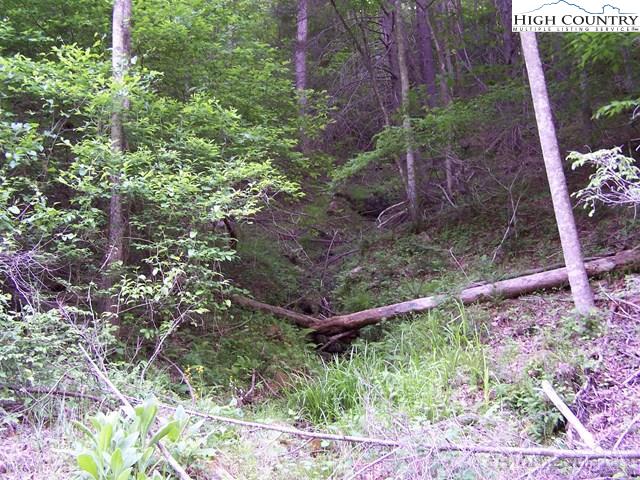 Powder Horn Mountain Road Deep Gap, NC 28618 - Photo 11 of 13 a backyard of a house with lots of plants and trees
