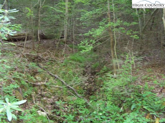 Powder Horn Mountain Road Deep Gap, NC 28618 - Photo 12 of 13 a view of a bathroom