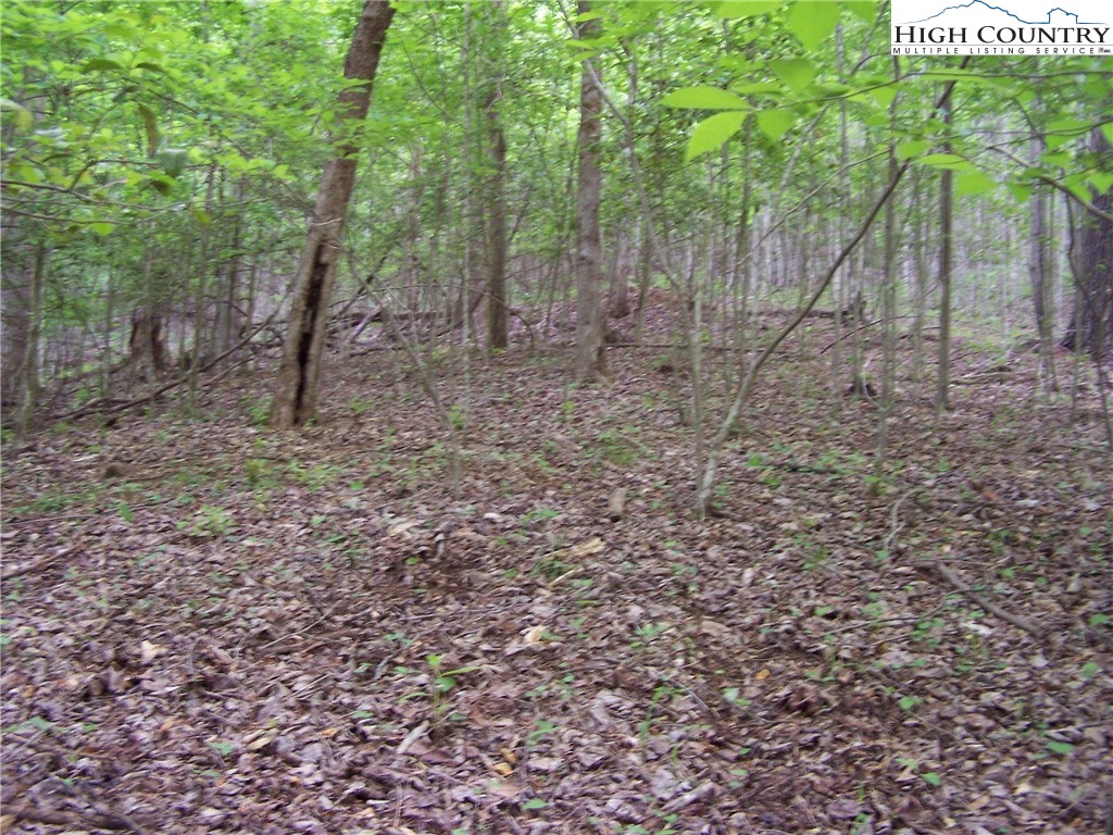 Powder Horn Mountain Road Deep Gap, NC 28618 - Photo 13 of 13 a view of a forest with trees in the background