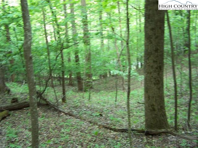 Powder Horn Mountain Road Deep Gap, NC 28618 - Photo 2 of 13