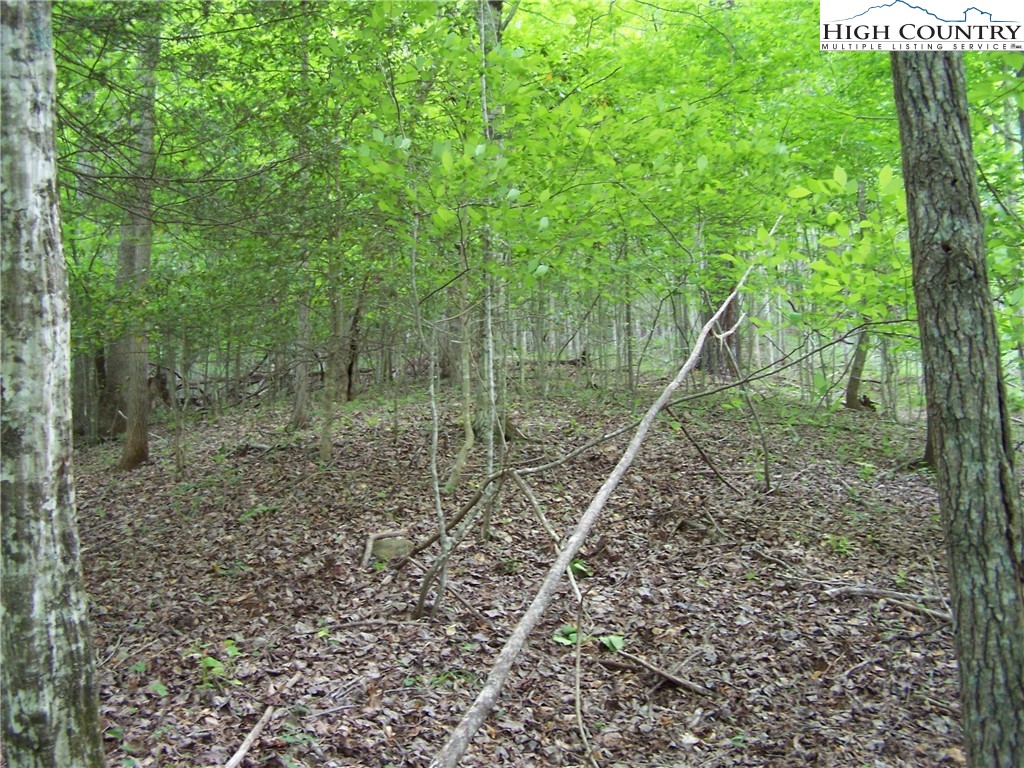 Powder Horn Mountain Road Deep Gap, NC 28618 - Photo 4 of 13 a backyard of a house with lots of green space