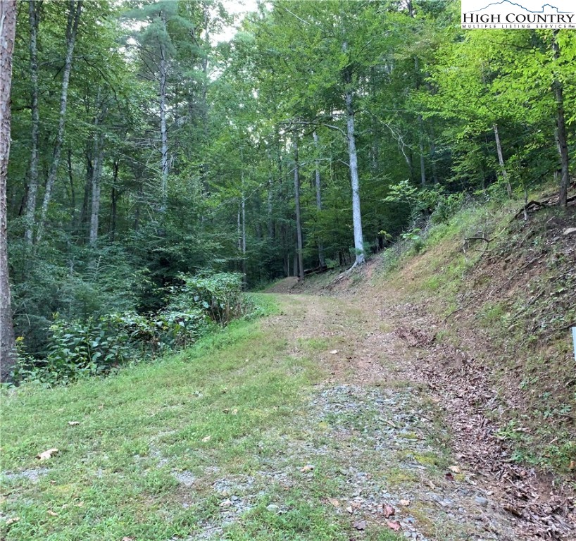 Powder Horn Mountain Road Deep Gap, NC 28618 - Photo 5 of 13 a view of a forest with trees in the background