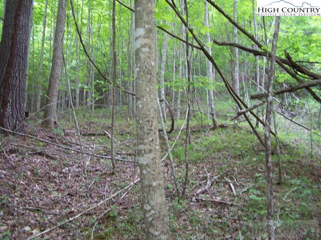 Powder Horn Mountain Road Deep Gap, NC 28618 - Photo 10 of 13 a backyard of a house with lots of green space