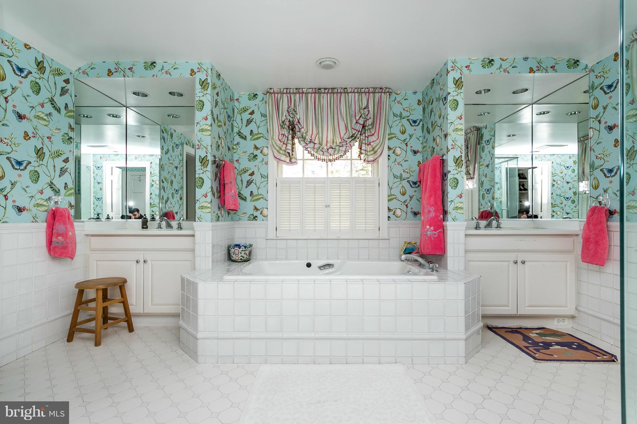 1708 Circle Road Baltimore, MD 21204 - Photo 21 of 30 Bath (Master)