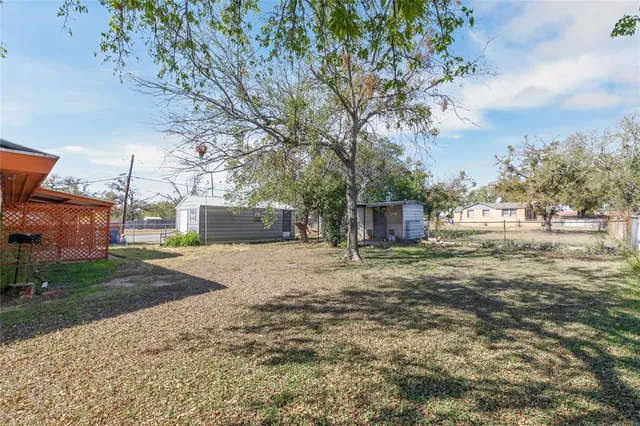 a dirt road with large trees