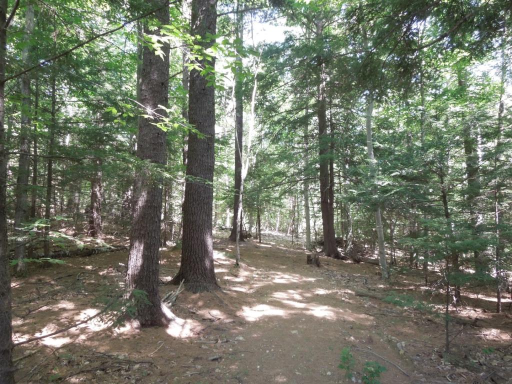 149 Bay Road Sanbornton, NH 03269 - Photo 30 of 36