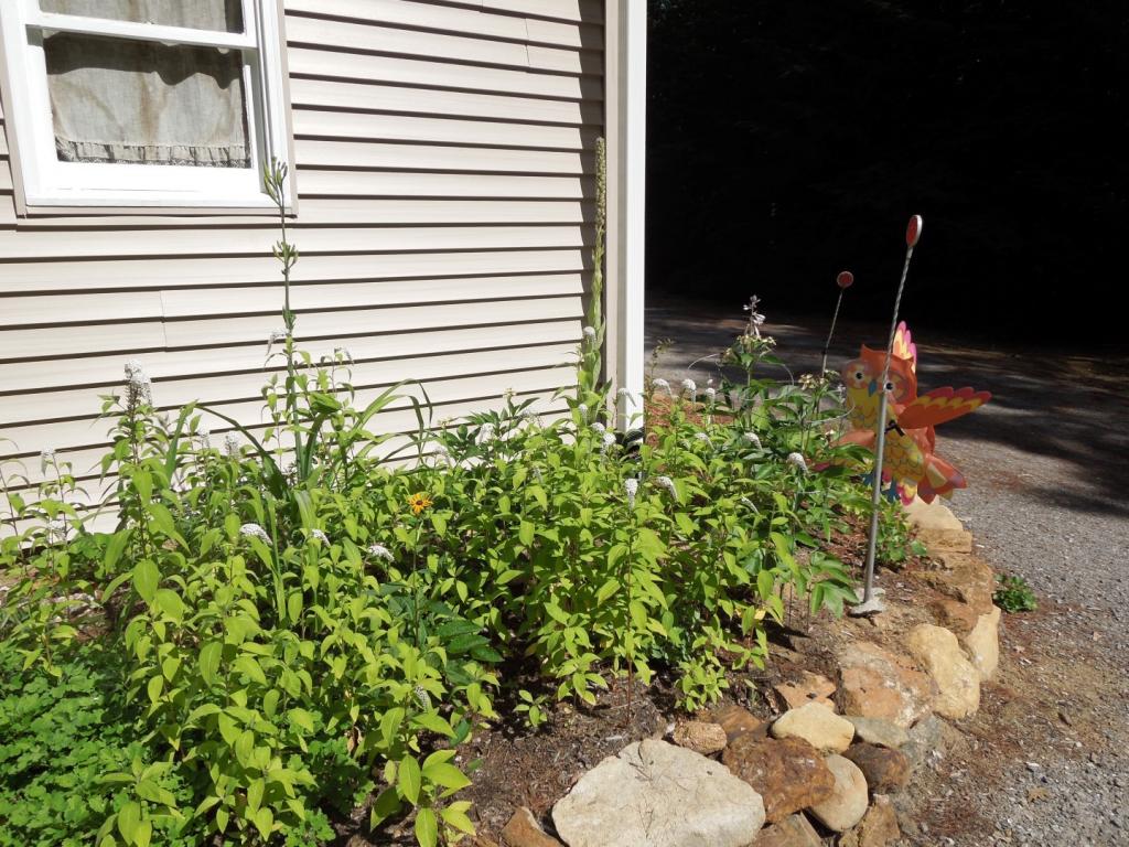 149 Bay Road Sanbornton, NH 03269 - Photo 35 of 36