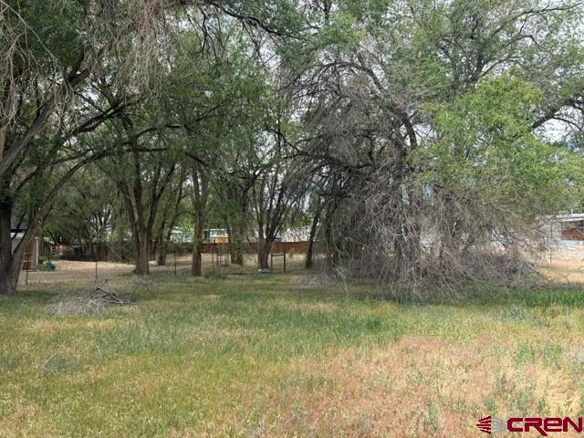12471 Rockhill Road Eckert, CO 81418 - Photo 17 of 17