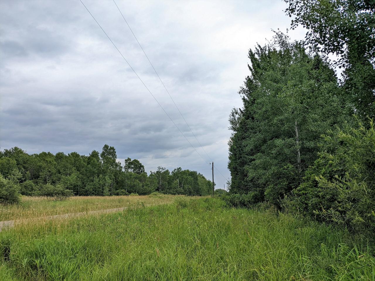 80-on Morner Road Ogema, WI 54459 - Photo 17 of 18 Gallery Image 17